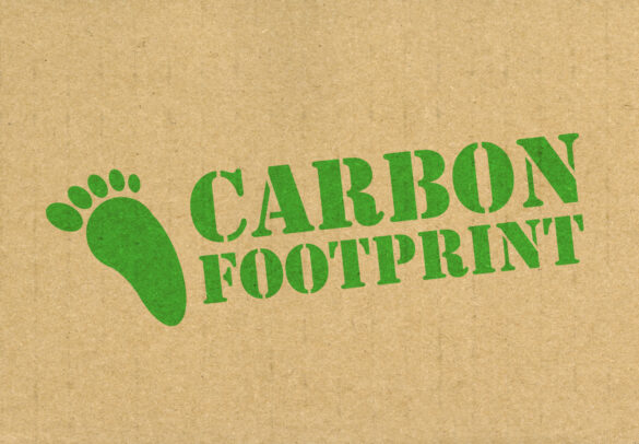Carbon Footprint stamped on to the side of recycled cardboard