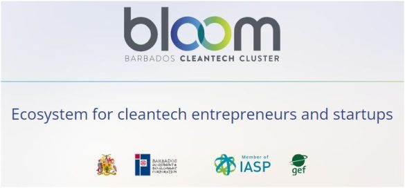 Logo von Bloom Barbados Clean Tech Cluster